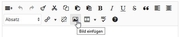 Editor bild einfuegen